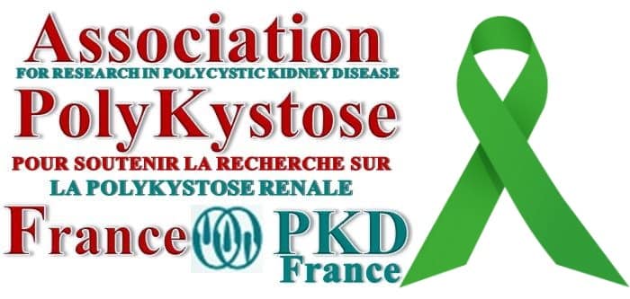 Logo PKD ruban vert