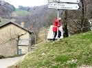 fleche_vivante