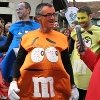 costume_roche