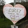 lucey_1