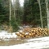 neige_et_bois