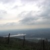 vue