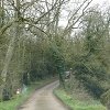 route_foret